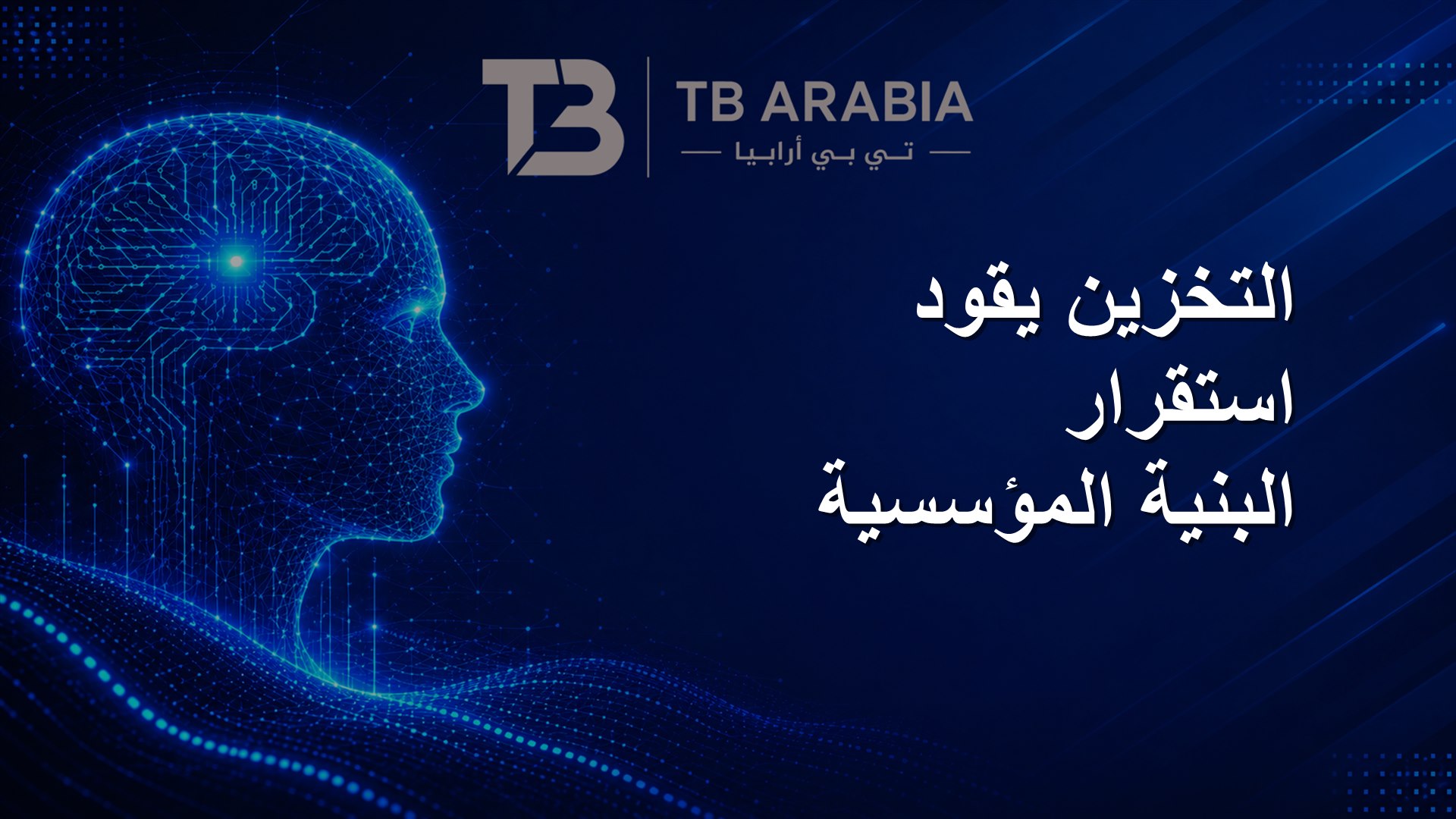 التخزين يقود استقرار البنية المؤسسية