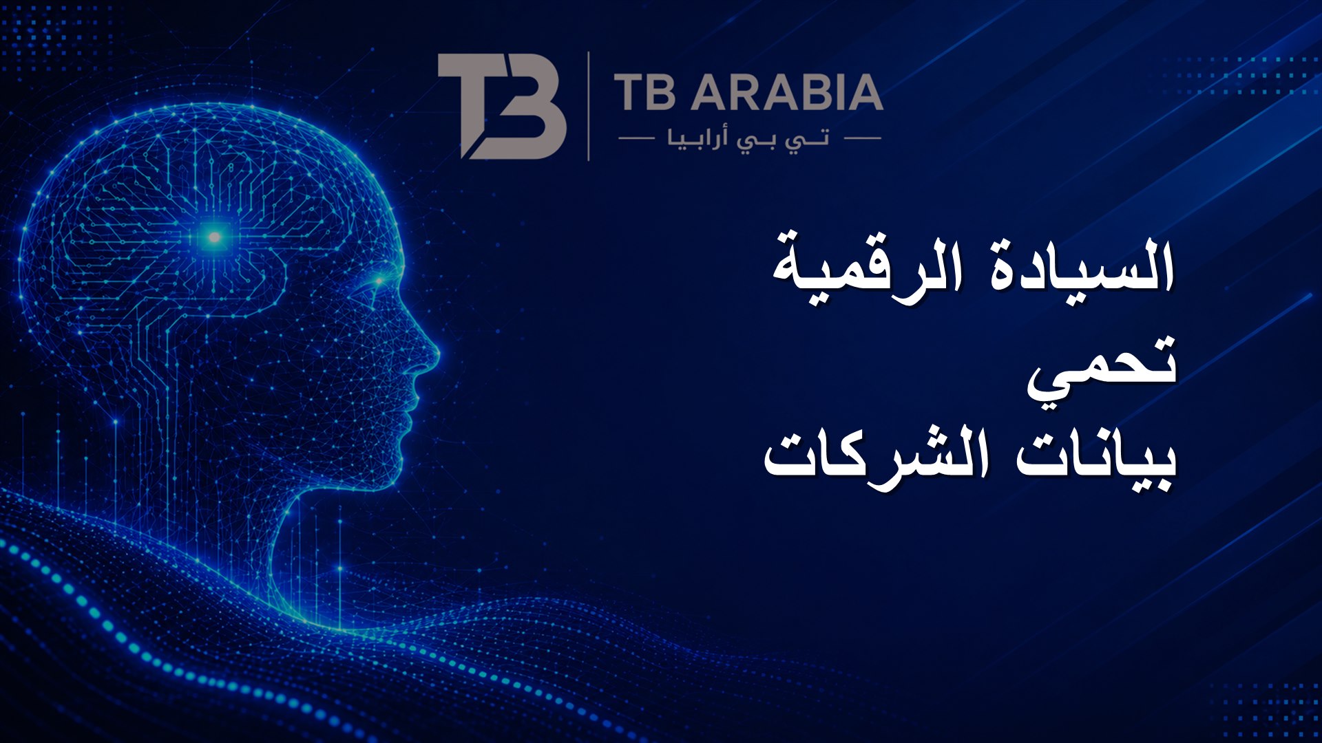 السيادة الرقمية تحمي بيانات الشركات