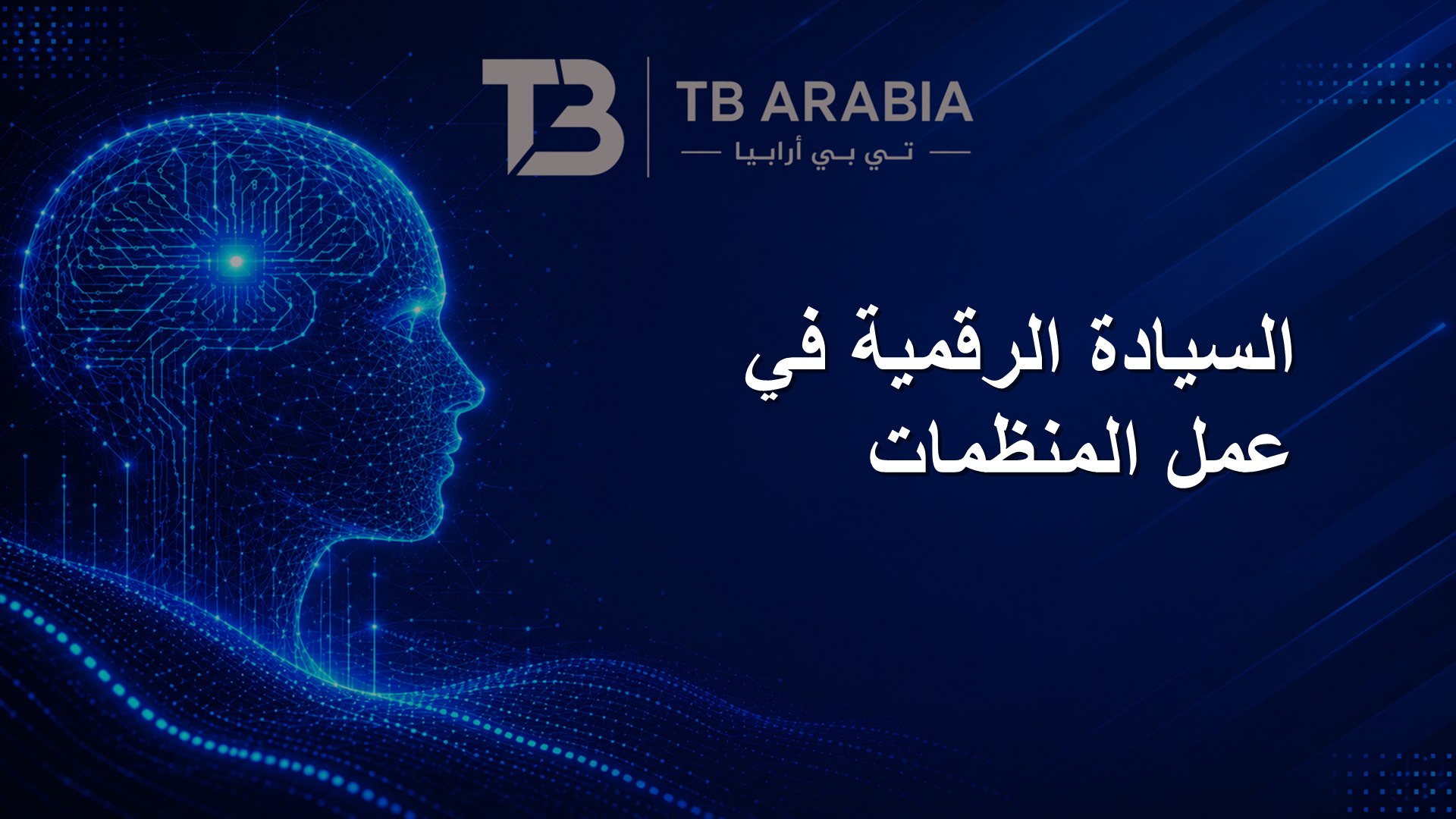 السيادة الرقمية في عمل المنظمات