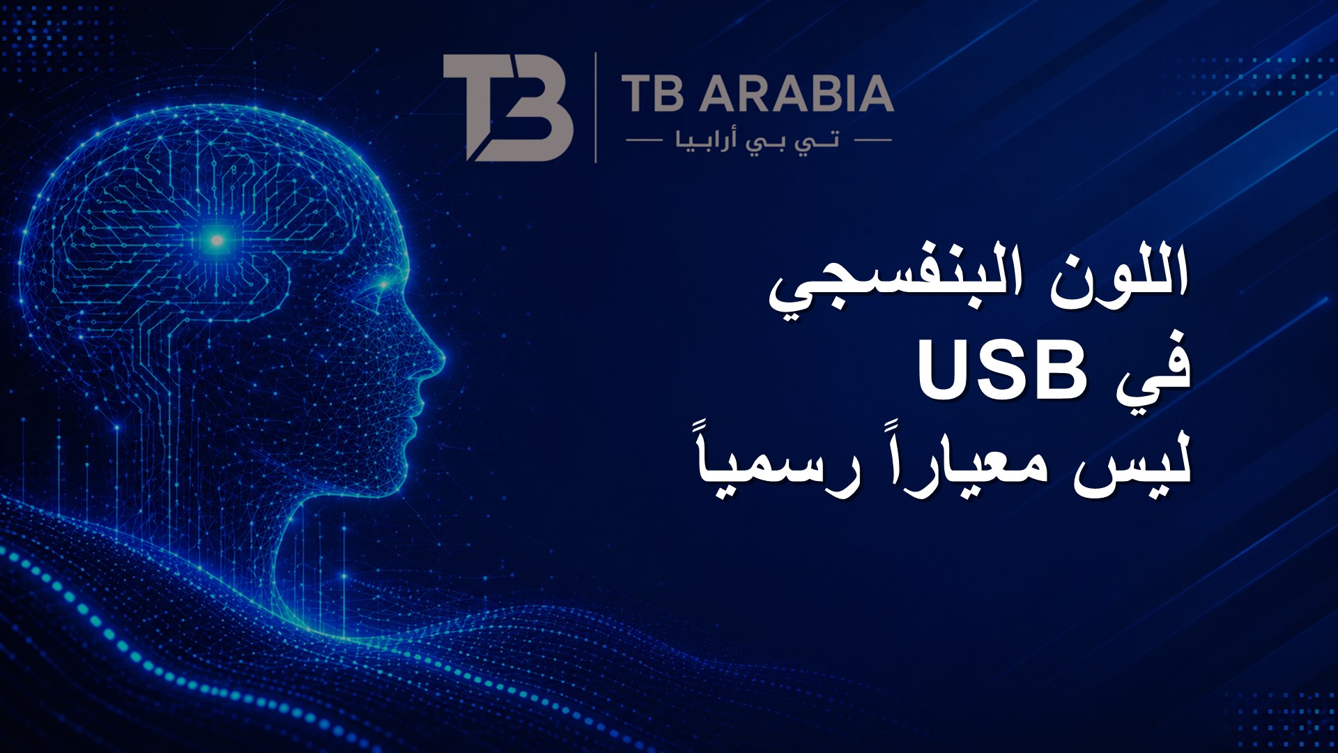 اللون البنفسجي في USB ليس معياراً رسمياً