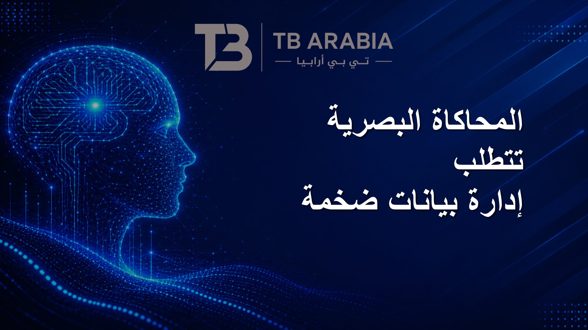 المحاكاة البصرية تتطلب إدارة بيانات ضخمة