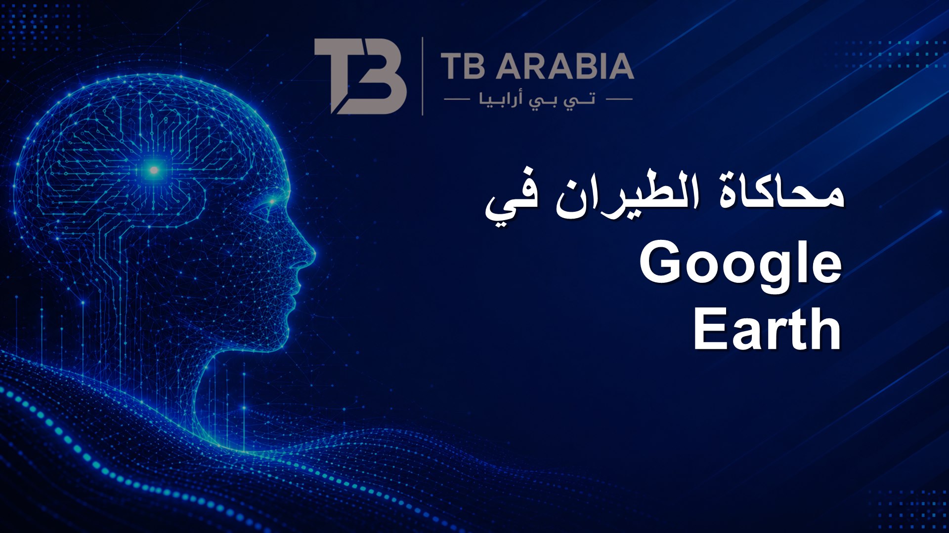 محاكاة الطيران في Google Earth
