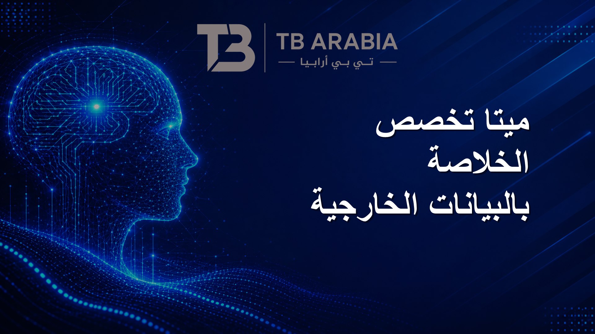 ميتا تخصص الخلاصة بالبيانات الخارجية
