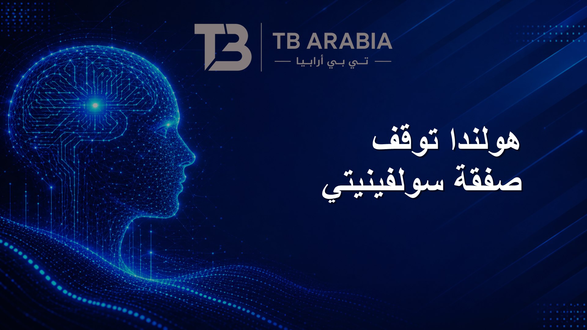 هولندا توقف صفقة سولفينيتي