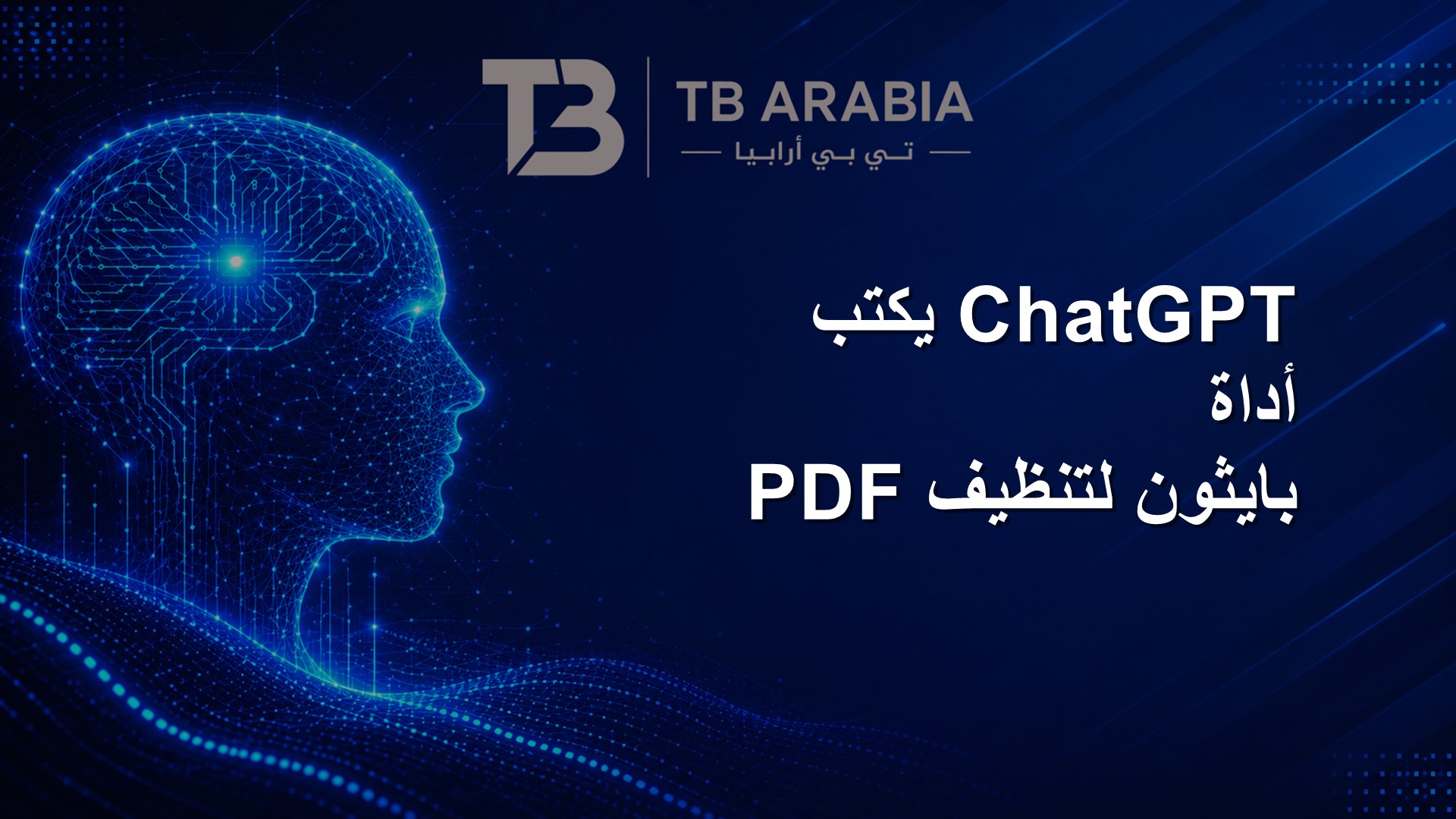 ChatGPT يكتب أداة بايثون لتنظيف PDF