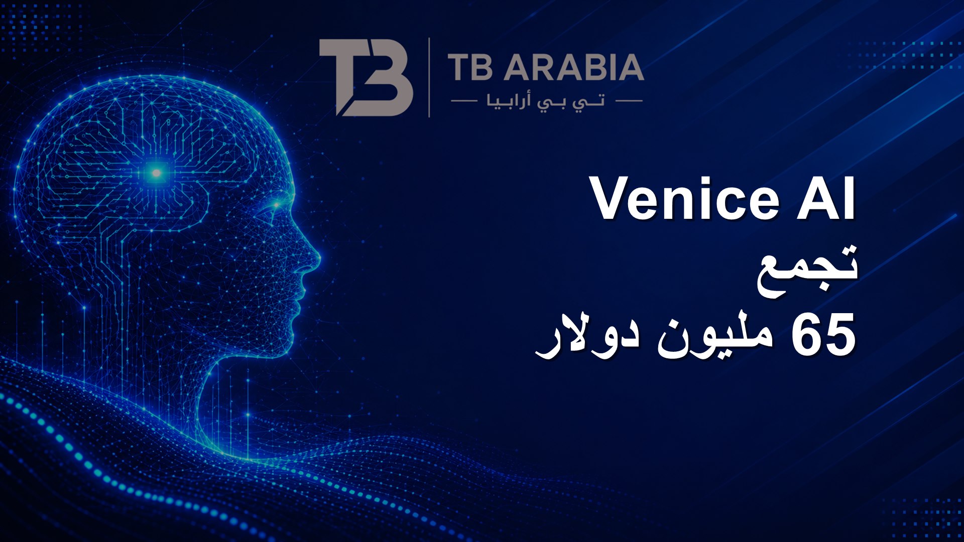 Venice AI تجمع 65 مليون دولار