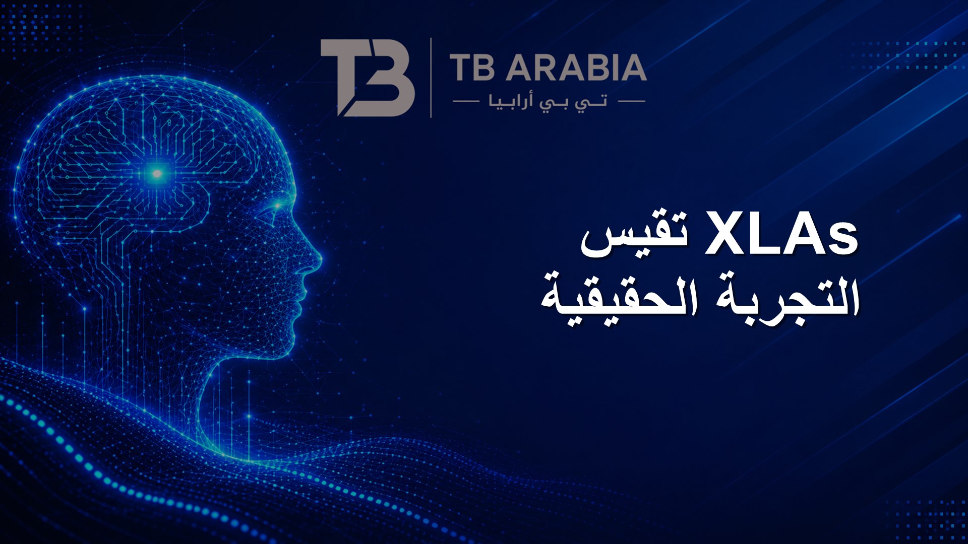 XLAs تقيس التجربة الحقيقية