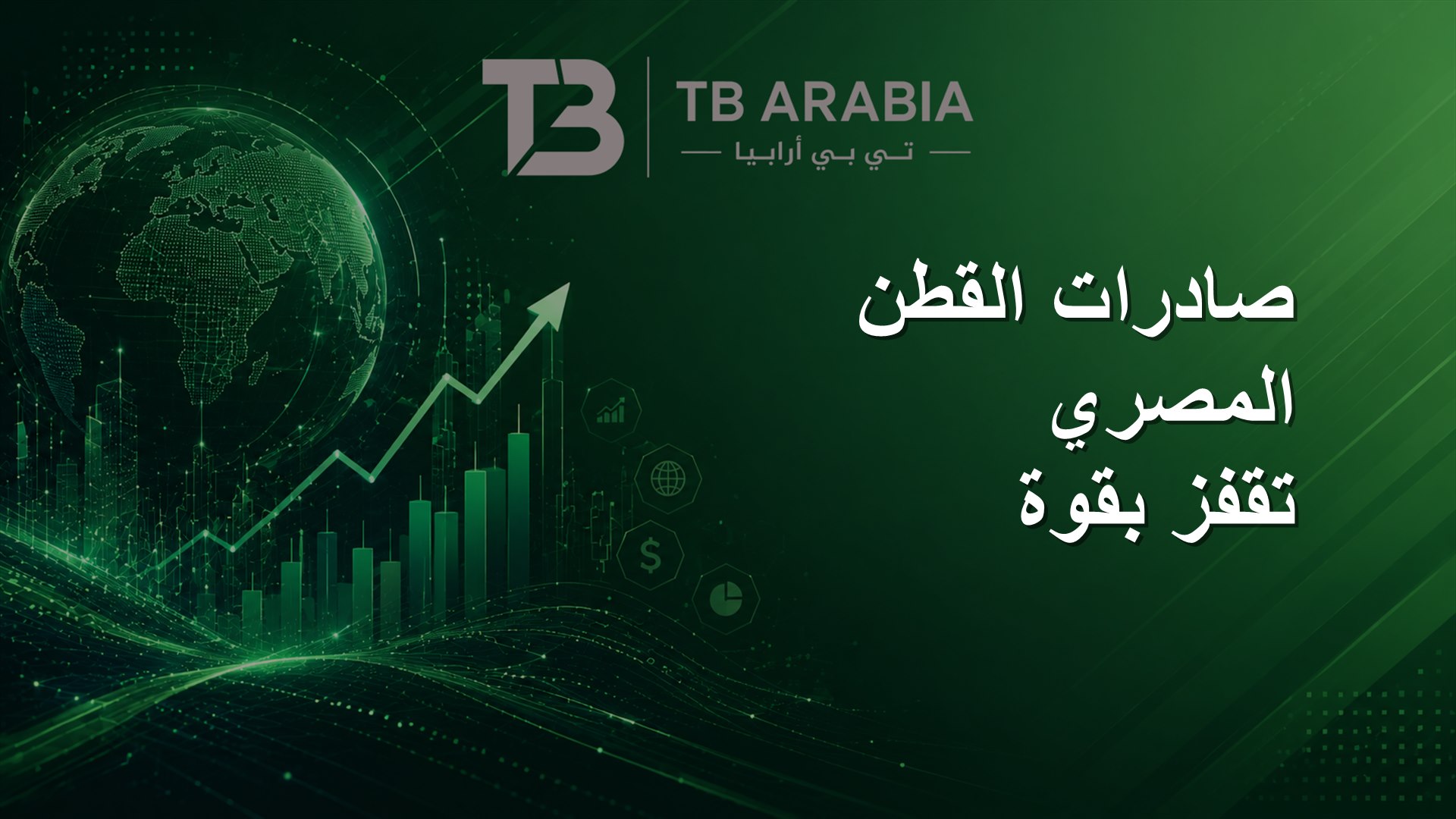 صادرات القطن المصري تقفز بقوة