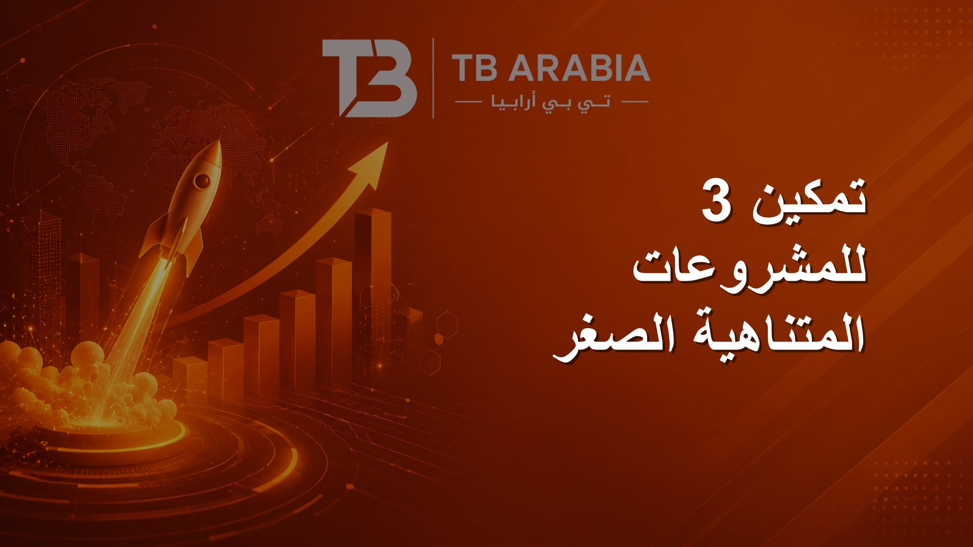 تمكين 3 للمشروعات المتناهية الصغر